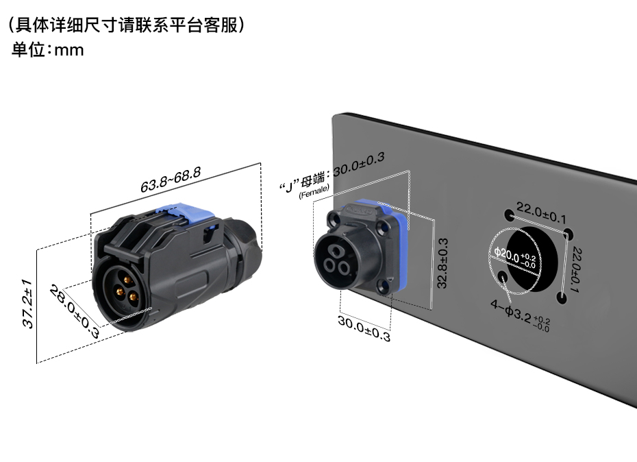 中文